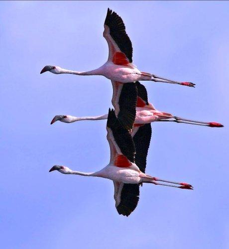 Dünyanın en güzel 506 fotoğrafı