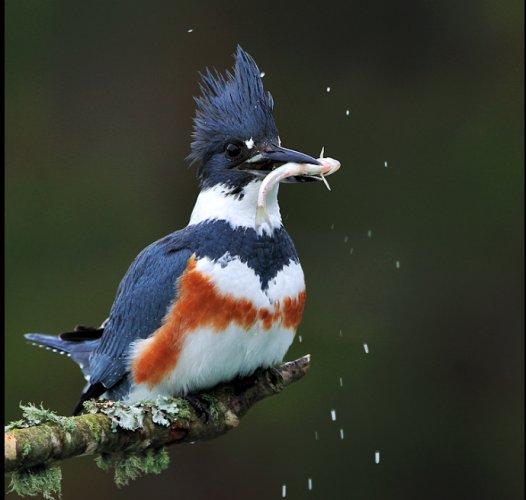 Dünyanın en güzel 506 fotoğrafı