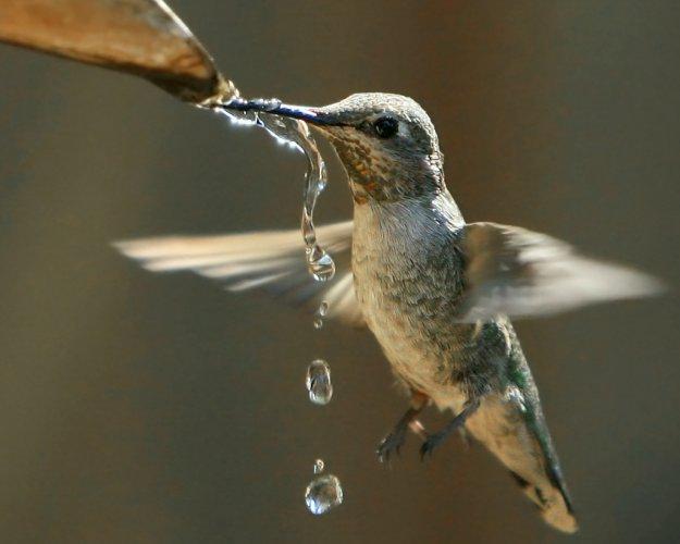 Dünyanın en güzel 506 fotoğrafı