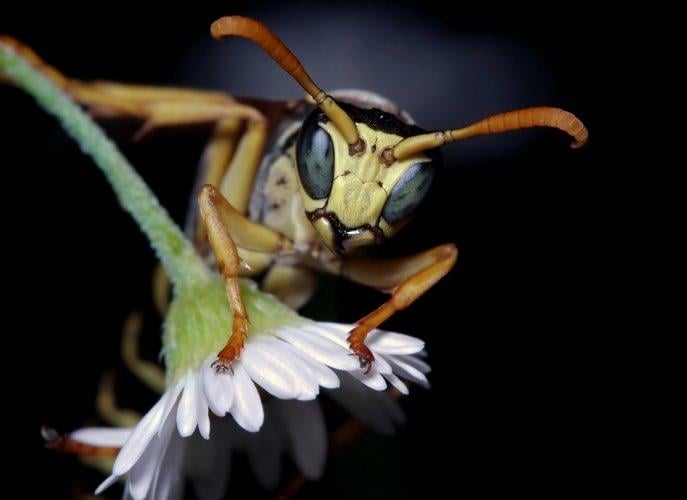 Dünyanın en güzel 506 fotoğrafı