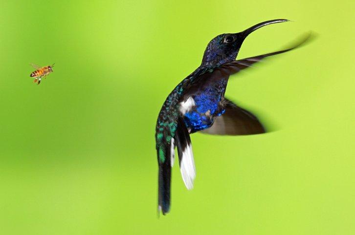 Dünyanın en güzel 506 fotoğrafı