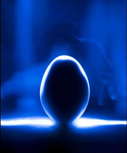 Dünyanın en güzel 506 fotoğrafı