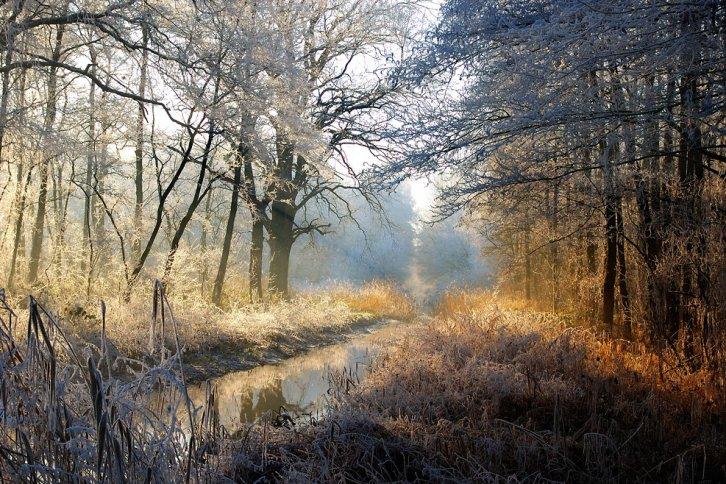 Dünyanın en güzel 506 fotoğrafı