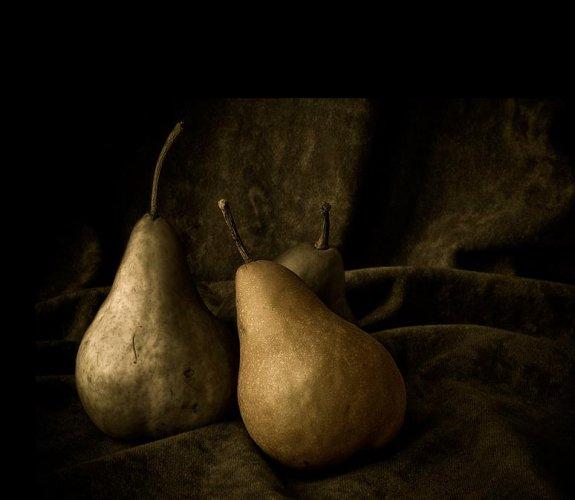 Dünyanın en güzel 506 fotoğrafı