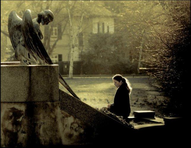 Dünyanın en güzel 506 fotoğrafı