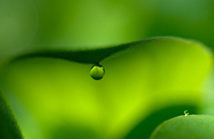 Dünyanın en güzel 506 fotoğrafı