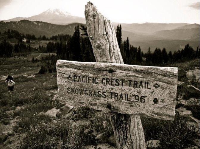 Dünyanın en güzel 506 fotoğrafı