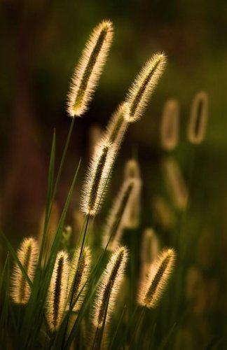 Dünyanın en güzel 506 fotoğrafı