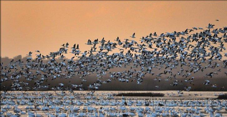 Dünyanın en güzel 506 fotoğrafı