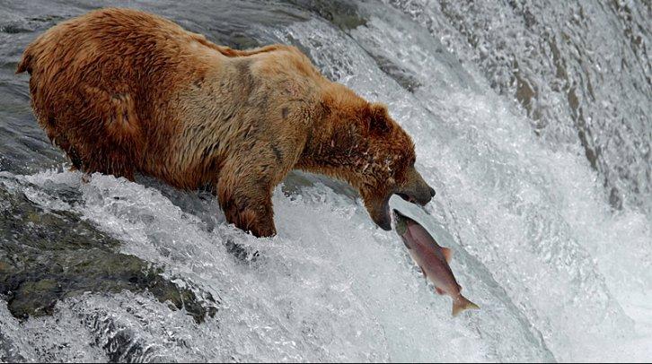 Dünyanın en güzel 506 fotoğrafı