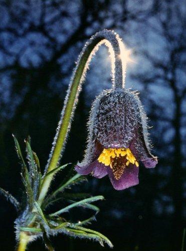 Dünyanın en güzel 506 fotoğrafı