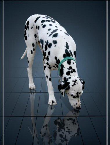 Dünyanın en güzel 506 fotoğrafı