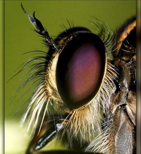 Dünyanın en güzel 506 fotoğrafı