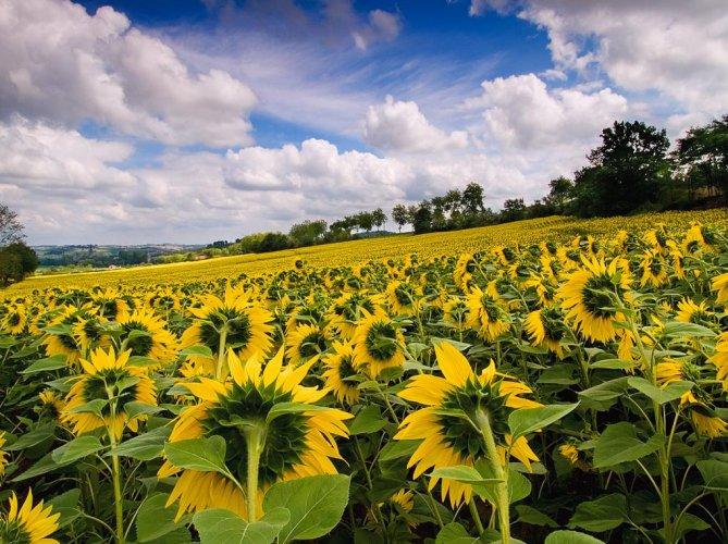 Dünyanın en güzel 506 fotoğrafı