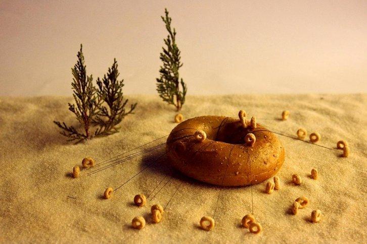 Dünyanın en güzel 506 fotoğrafı