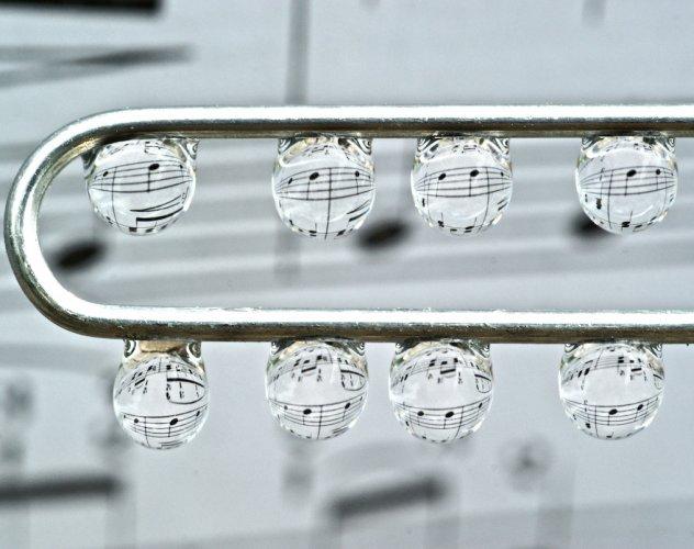 Dünyanın en güzel 506 fotoğrafı