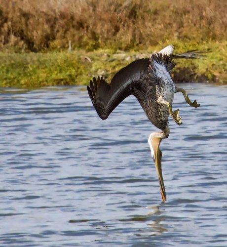 Dünyanın en güzel 506 fotoğrafı