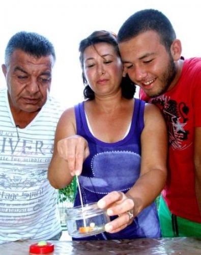 İnsan yüzlü örümcek 