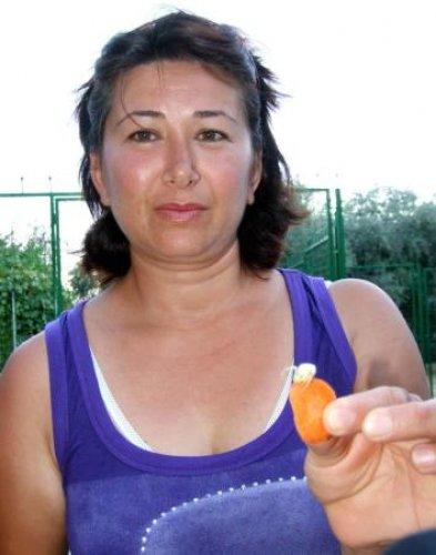 İnsan yüzlü örümcek 