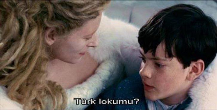 Hollywood'da Türk etkisi