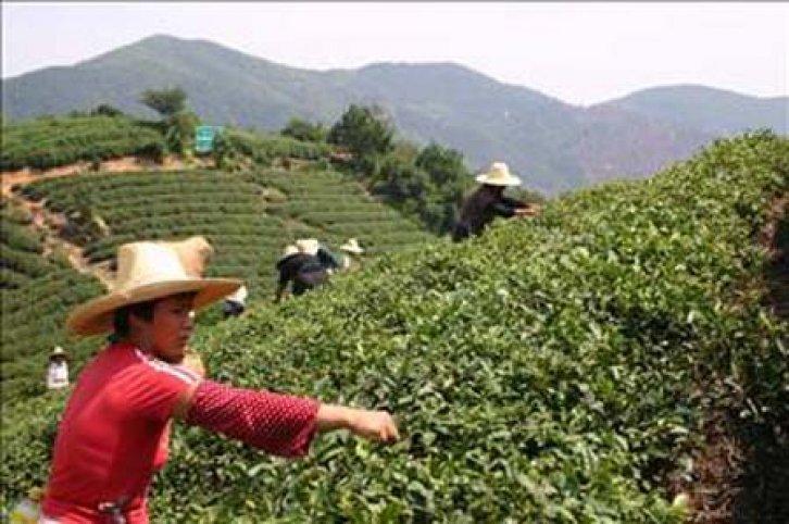 Ülkelerin bilinmeyen 100 gerçeği