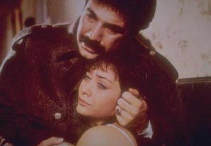 Erotik yıldızların ilginç hayatları