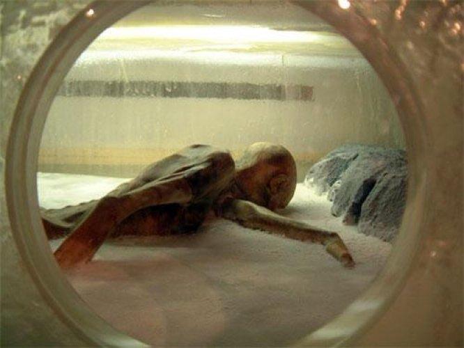 5300 yıl sonra şifresi çözüldü