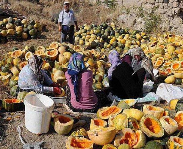 Kabak çekirdeğinin bilinmeyenleri - Resim 18