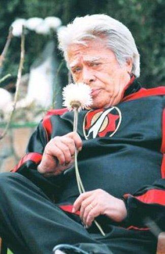 Ünlülerin eğitim durumu 