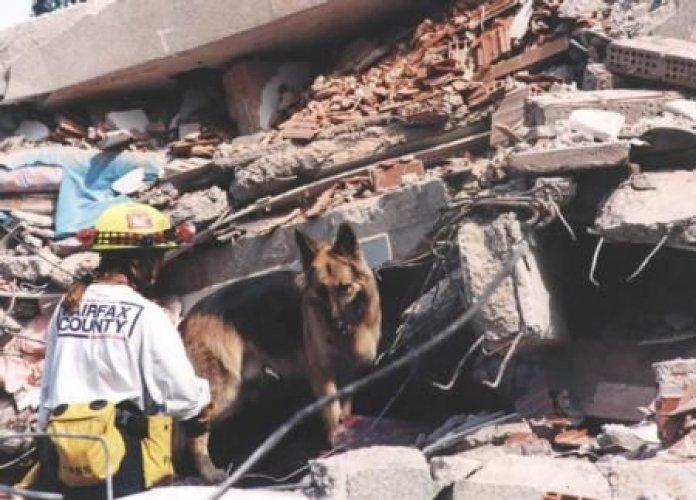 Herkez unuttu ama onlar unutmadı  - Resim 15