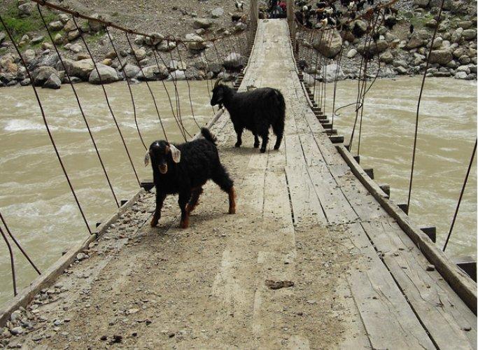 Devrimci gençlik köprüsü yeniden yapılıyor