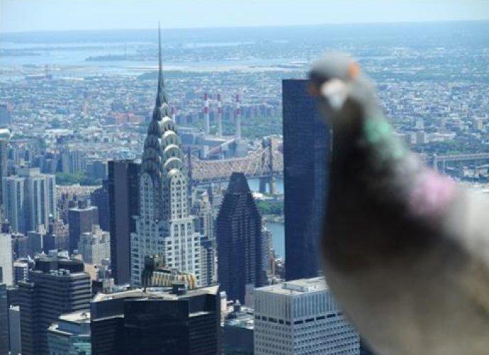 Hesapta olmayan fotoğraflar