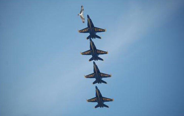 Hesapta olmayan fotoğraflar