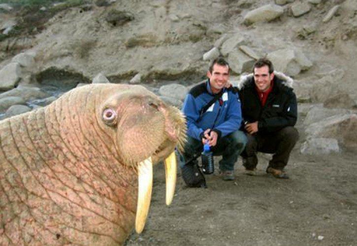 Hesapta olmayan fotoğraflar