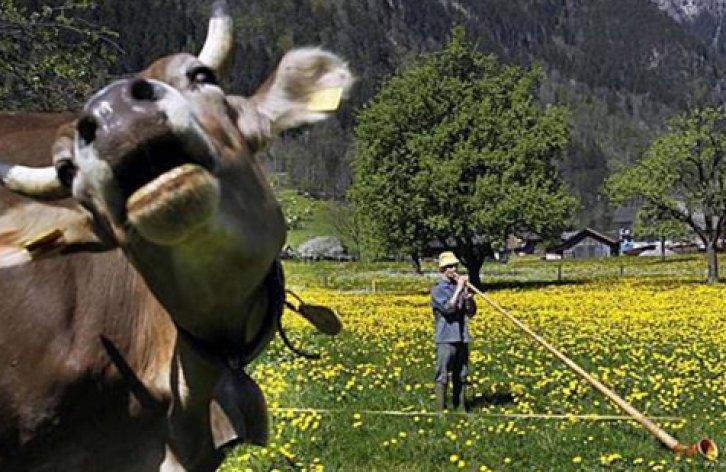 Hesapta olmayan fotoğraflar