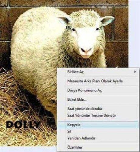 Keşke gerçekten yapabilinse - Resim 21