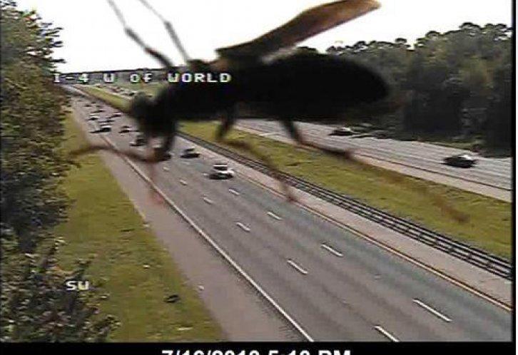 Hesapta olmayan fotoğraflar