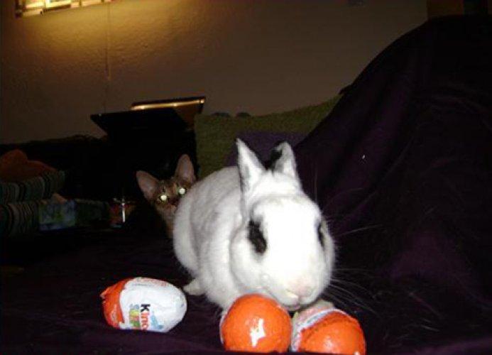 Hesapta olmayan fotoğraflar