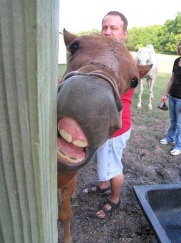 Hesapta olmayan fotoğraflar