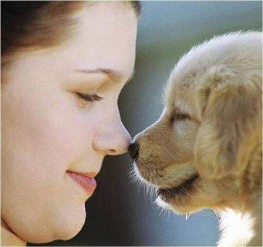 Sevimli dostlar güldürüyor