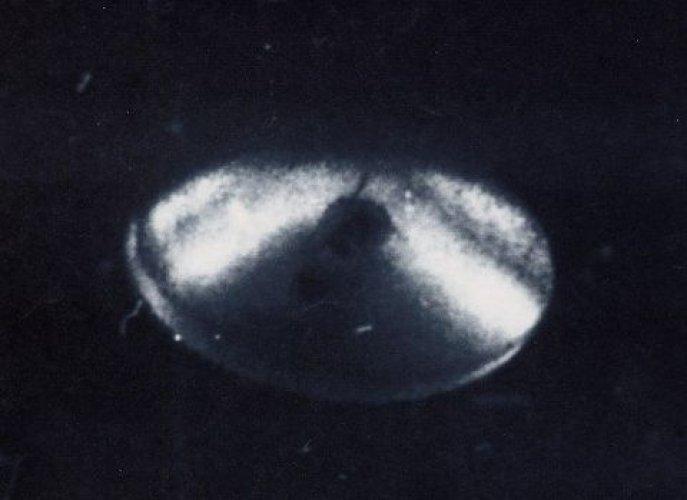 UFO'ların kayıtlı gerçeği  - Resim 1