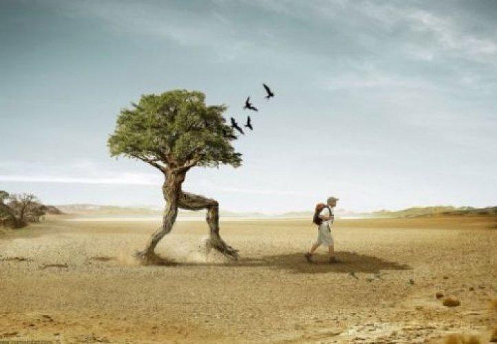 Şaşırtan tasarımlar - Resim 14