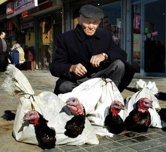 Yurdum insanı güldürüyor - 2 - Resim 56