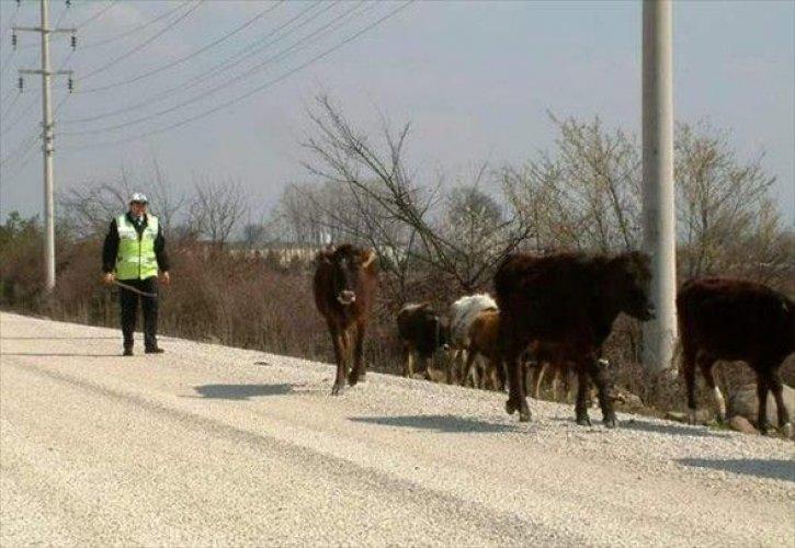 Yurdum insanı güldürüyor - 2 - Resim 6