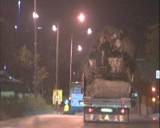 Ölümüne yolculukta son nokta - Resim 2