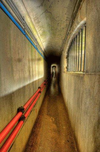 2010'un en iyi dijital fotoğraf adayları - Resim 1