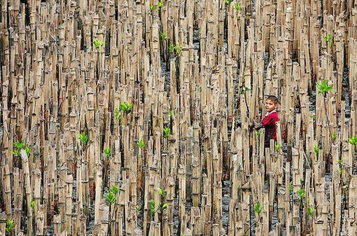 2010'un en iyi dijital fotoğraf adayları - Resim 11