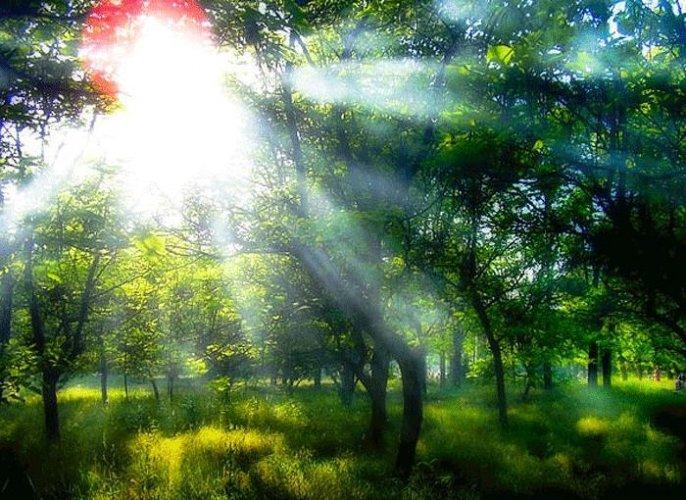 2010'un en iyi dijital fotoğraf adayları - Resim 15
