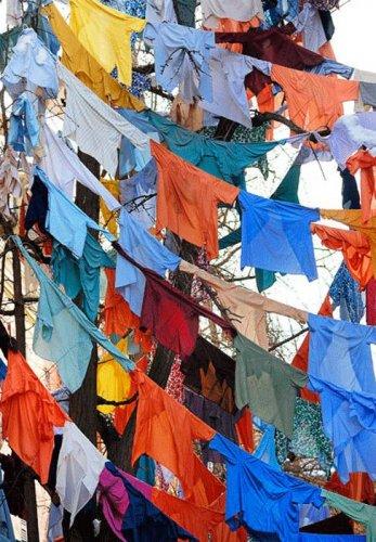 2010'un en iyi dijital fotoğraf adayları - Resim 18