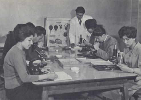50 yıl önce Afganistan - Resim 6